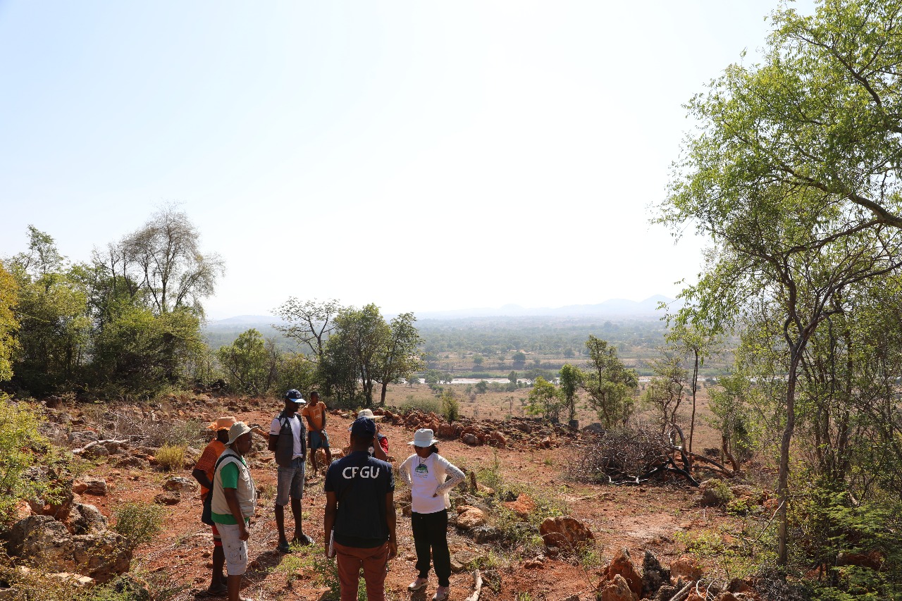 Travaux sur le terrain