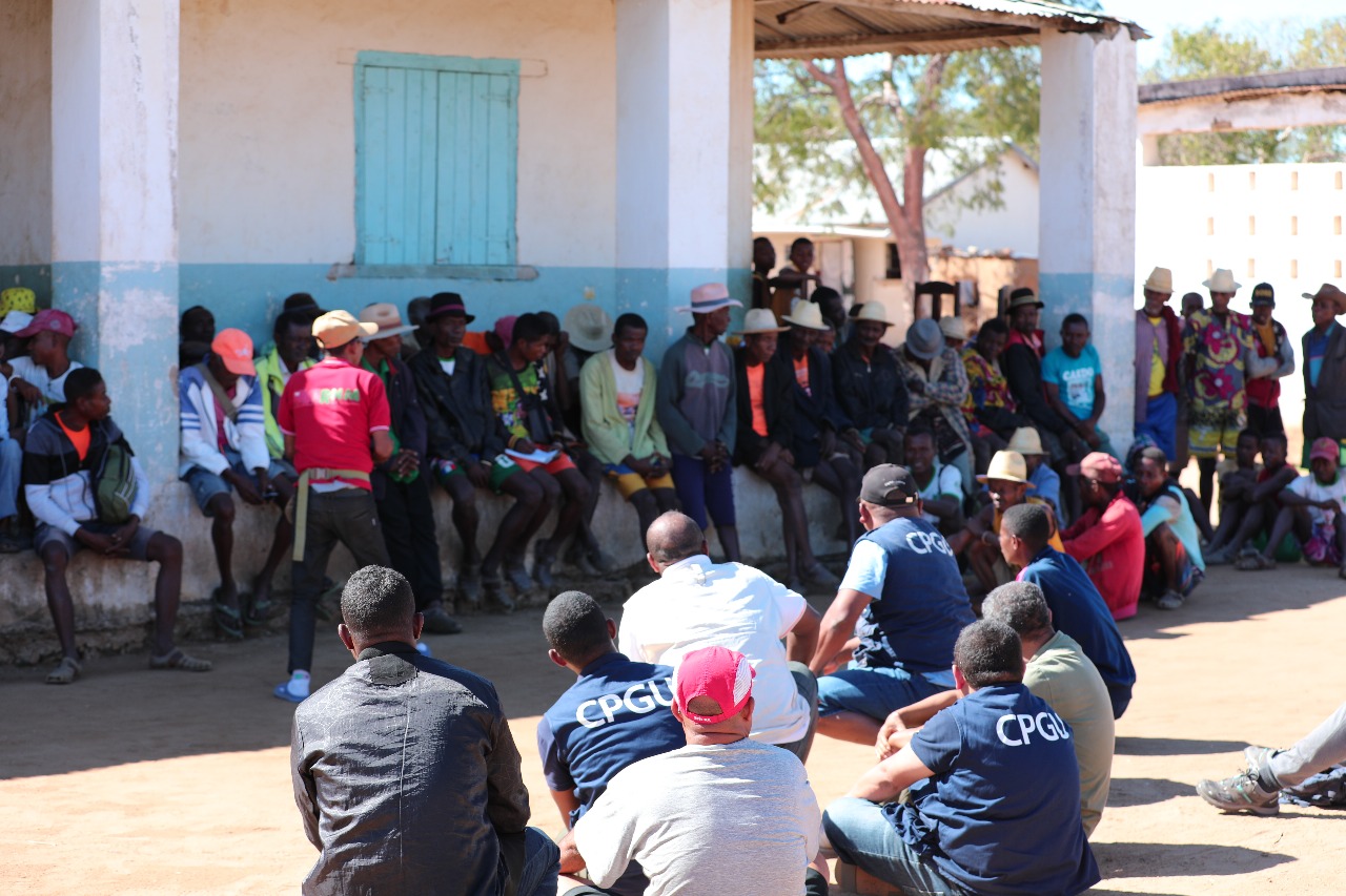 Formation & renforcements