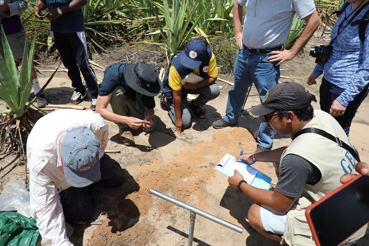 Travaux sur le terrain