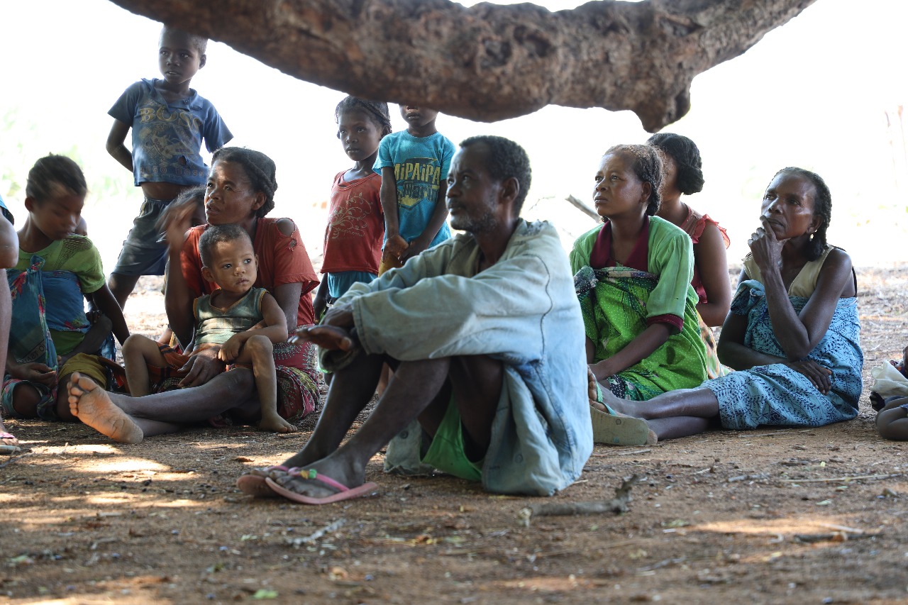 Formation & renforcements