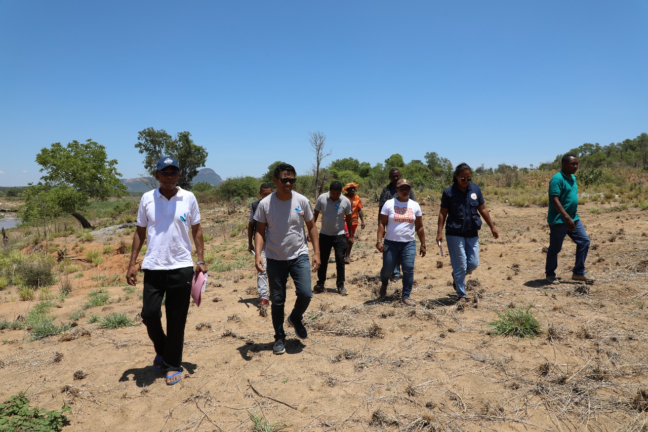 Travaux sur le terrain