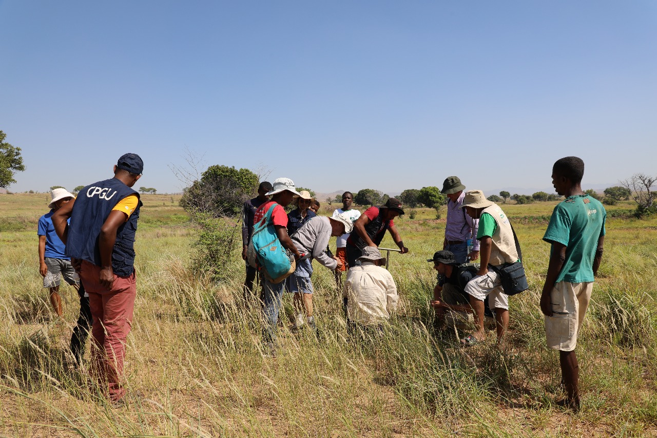 Travaux sur le terrain